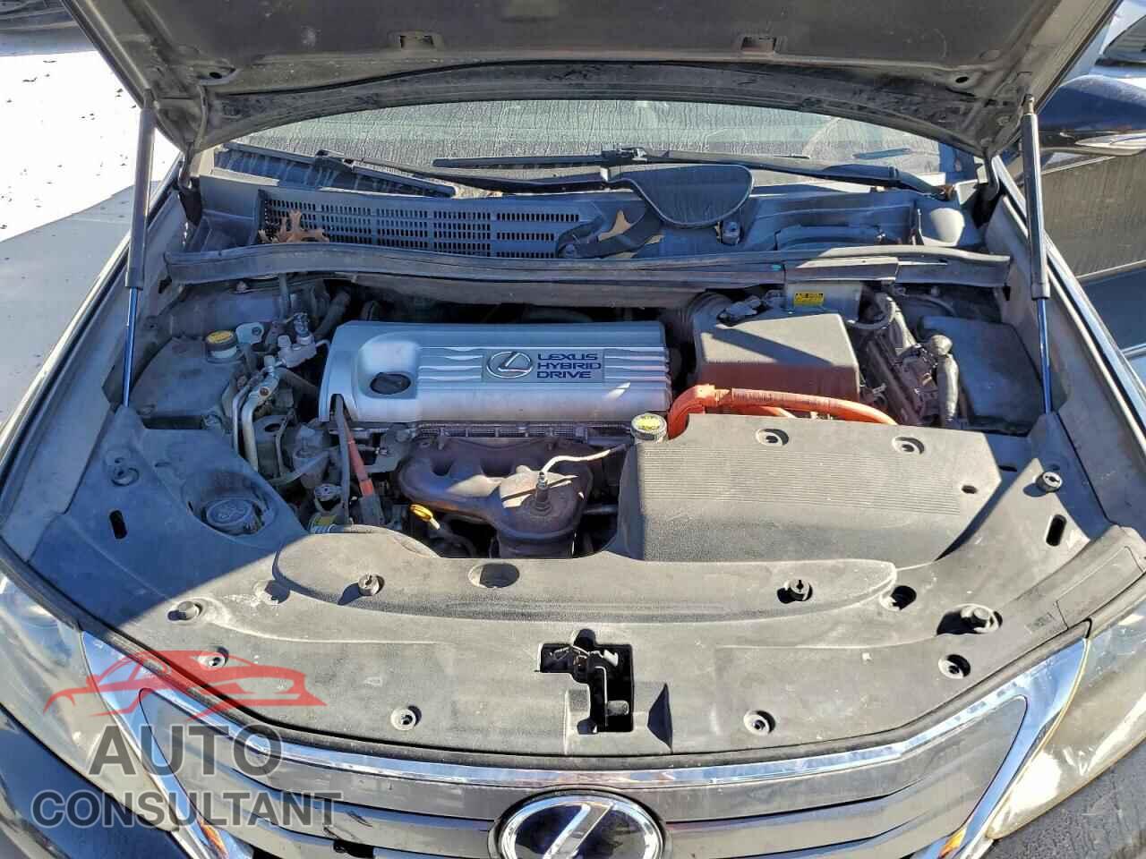 LEXUS HS 2010 - JTHBB1BA1A2015612