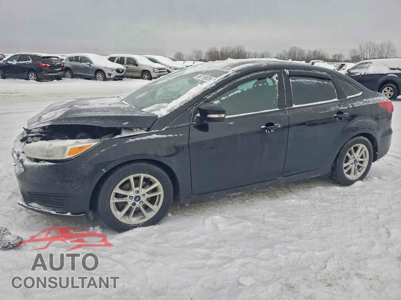 FORD FOCUS 2016 - 1FADP3F26GL393072
