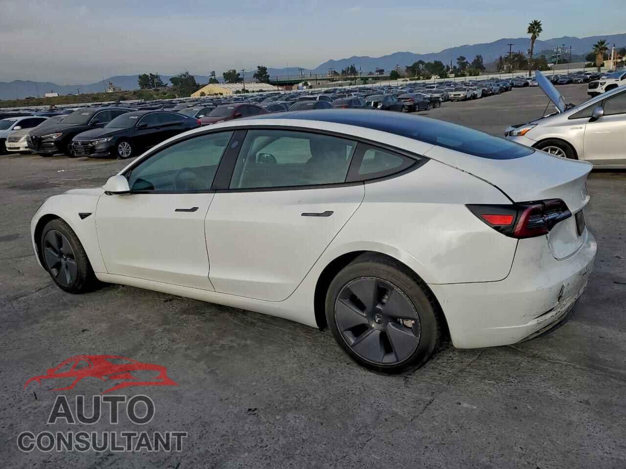 TESLA MODEL 3 2021 - 5YJ3E1EA9MF930749