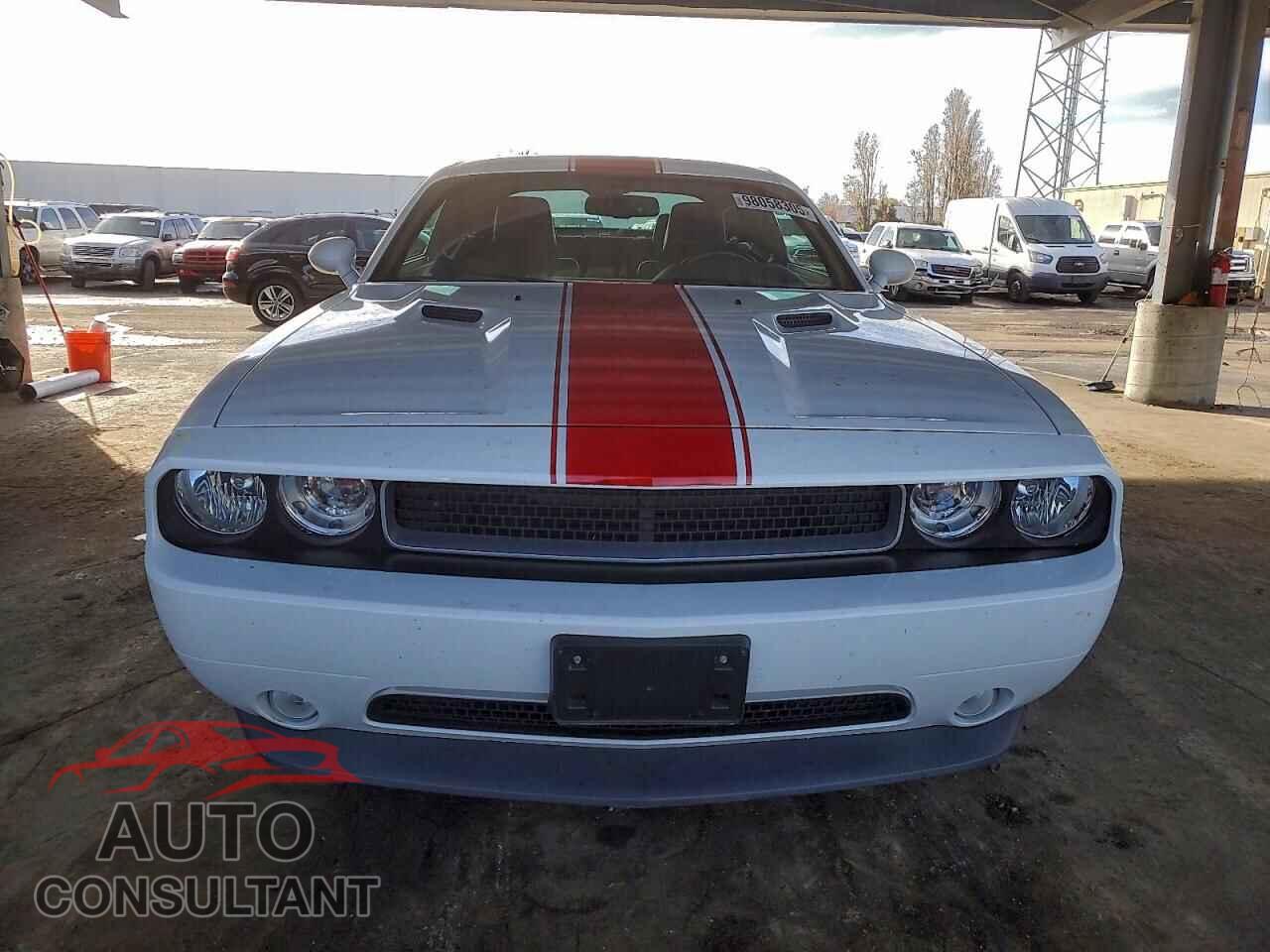 DODGE CHALLENGER 2013 - 2C3CDYAG1DH581719