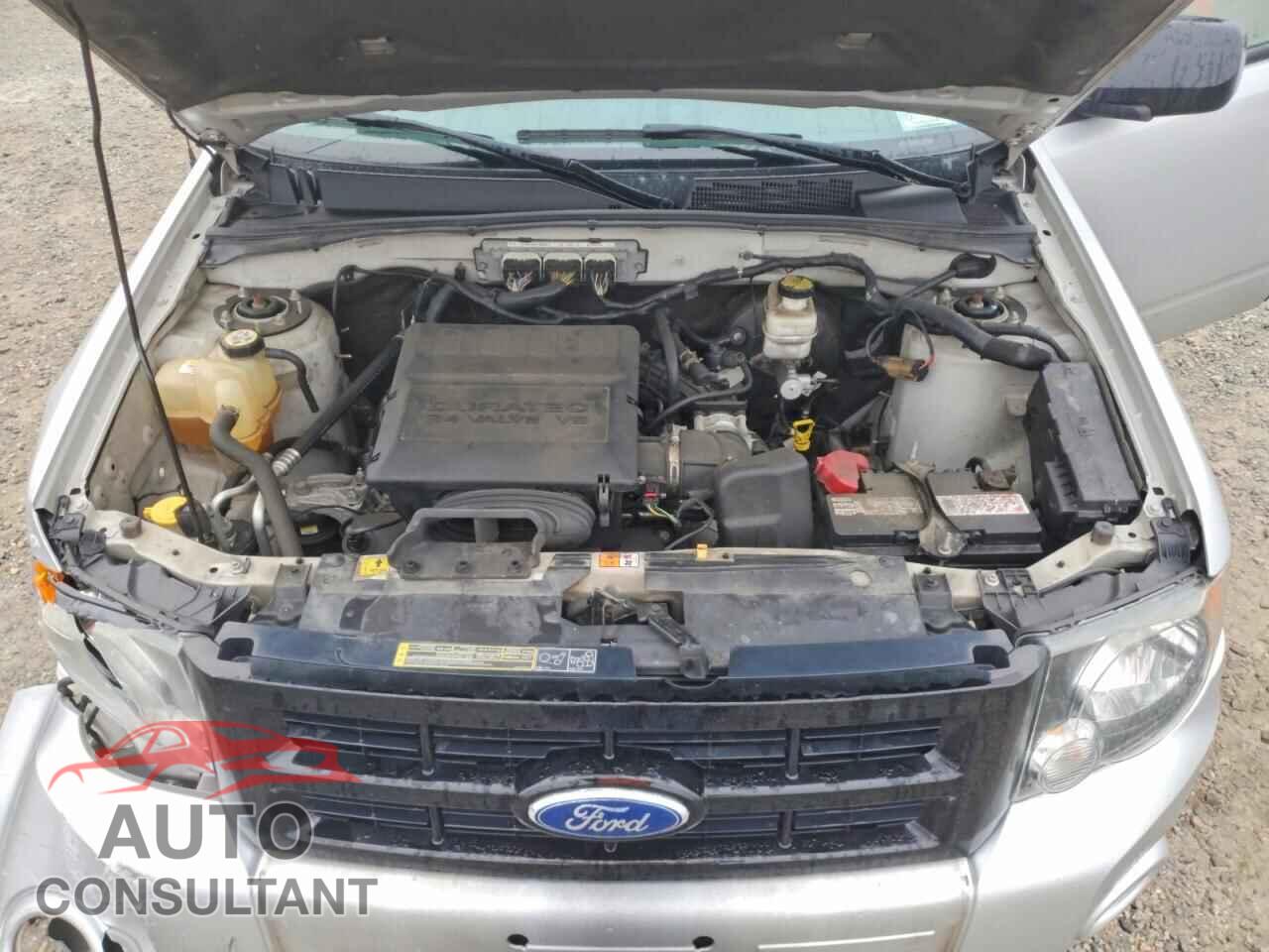 FORD ESCAPE 2010 - 1FMCU9DG2AKD16238