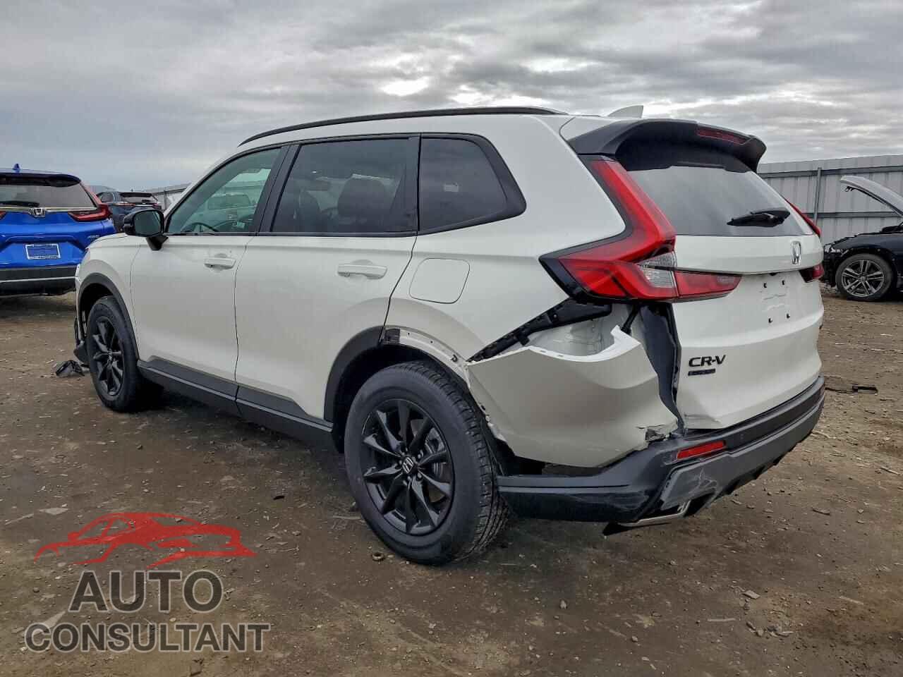 HONDA CRV 2026 - 7FARS6H84TE038579