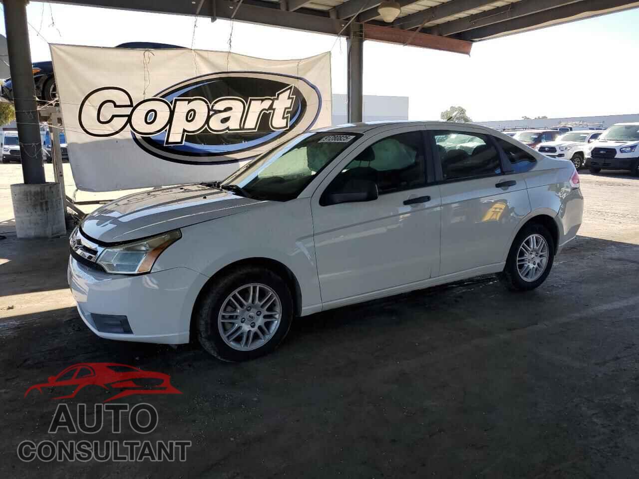 FORD FOCUS 2011 - 1FAHP3FN7BW197919