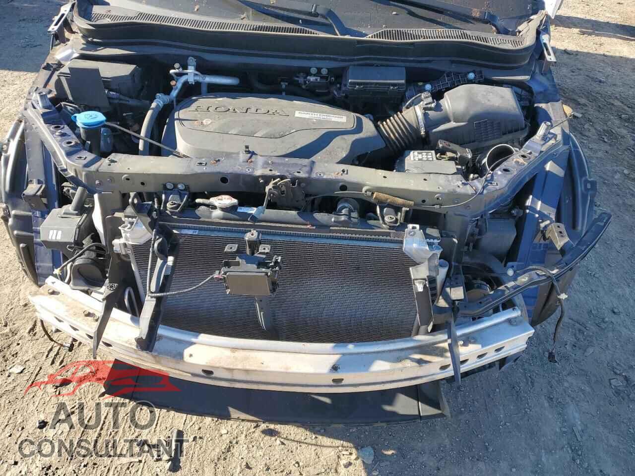 HONDA PILOT 2019 - 5FNYF6H94KB026189
