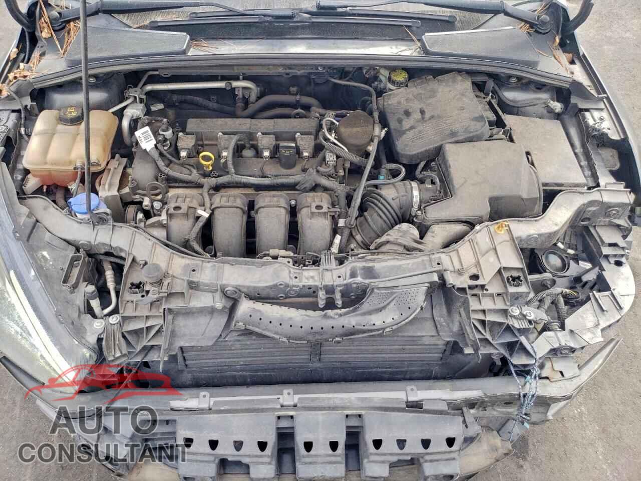 FORD FOCUS 2016 - 1FADP3F26GL301474