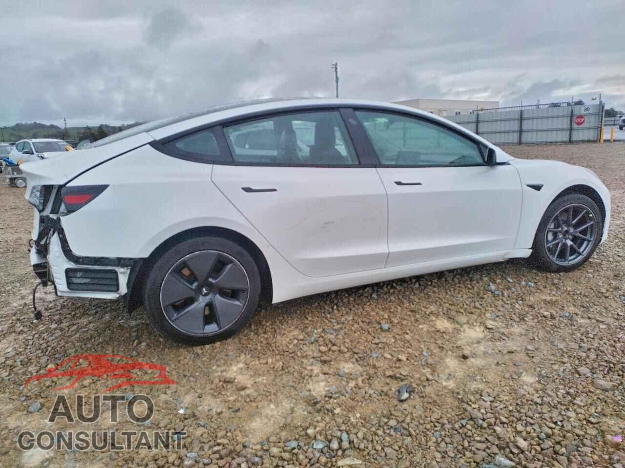 TESLA MODEL 3 2021 - 5YJ3E1EB7MF075509