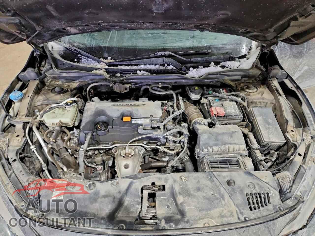 HONDA CIVIC 2019 - 2HGFC2F79KH034701