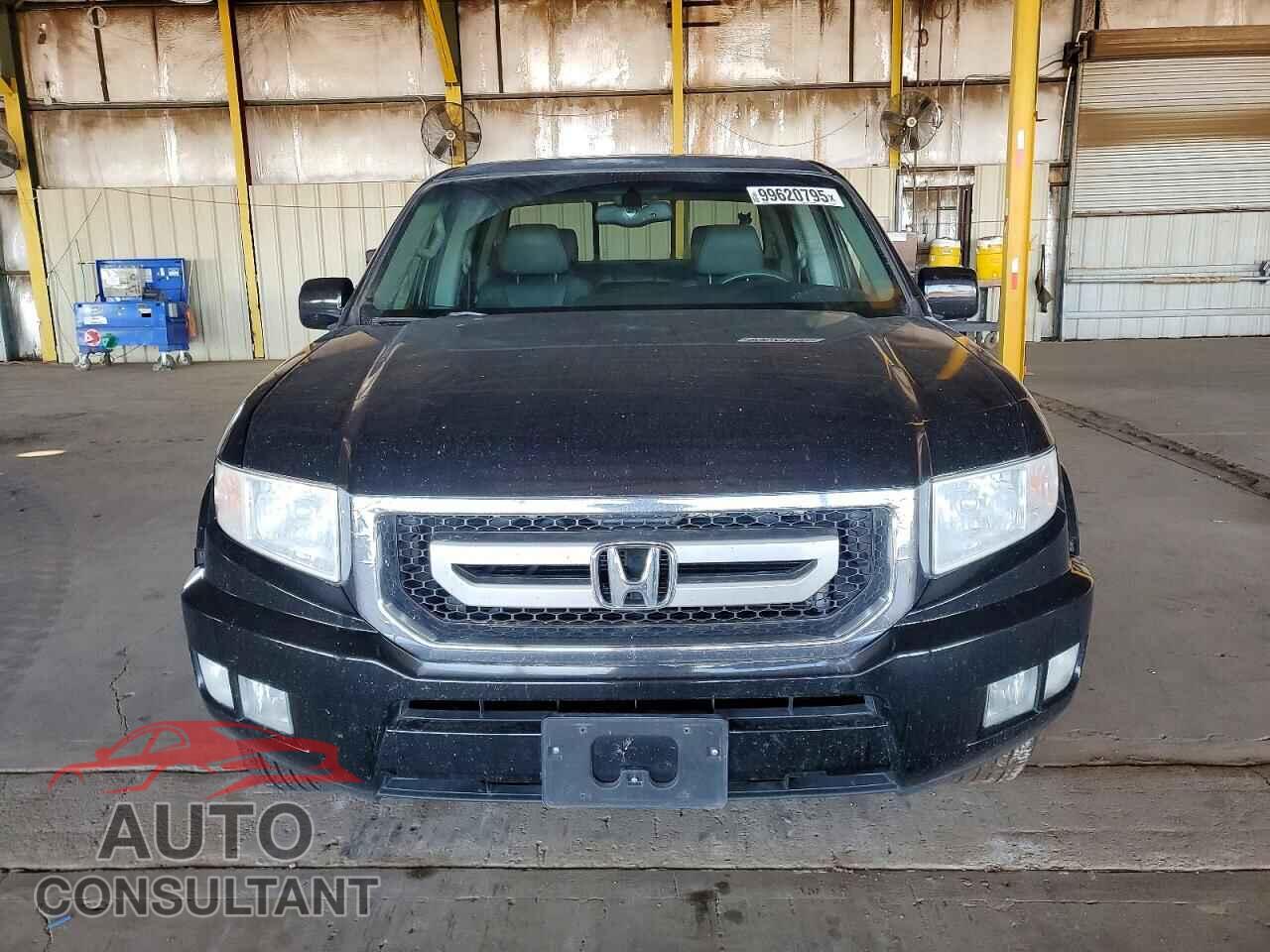 HONDA RIDGELINE 2011 - 5FPYK1F56BB003809