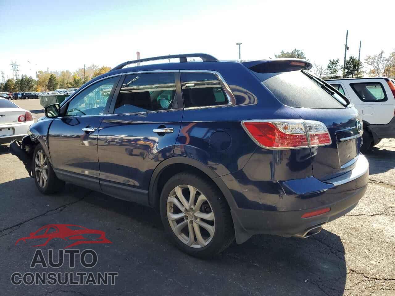 MAZDA CX-9 2011 - JM3TB3DV0B0318225