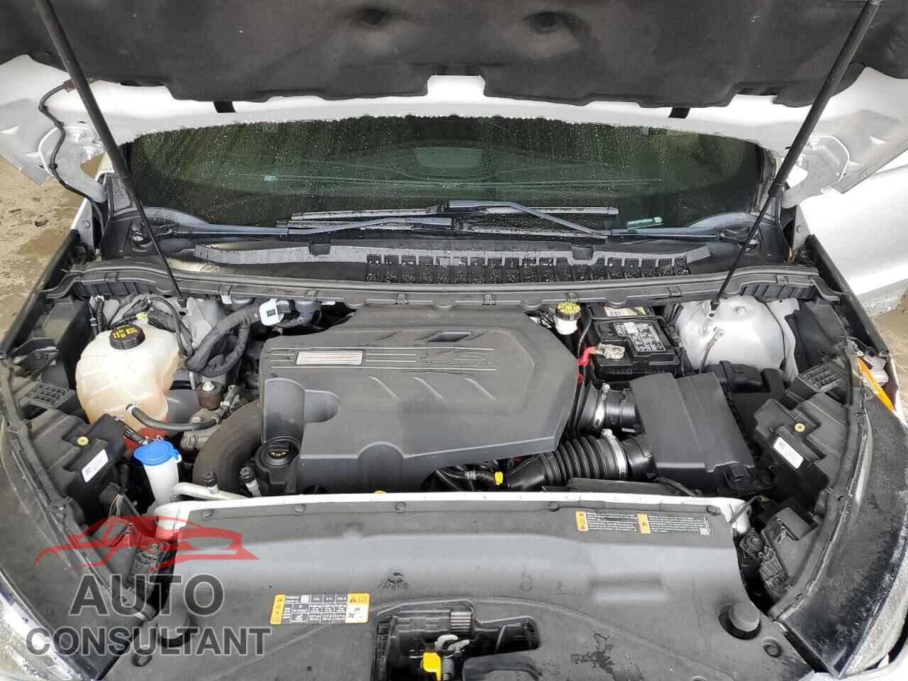 FORD EDGE 2019 - 2FMPK4AP7KBB85639