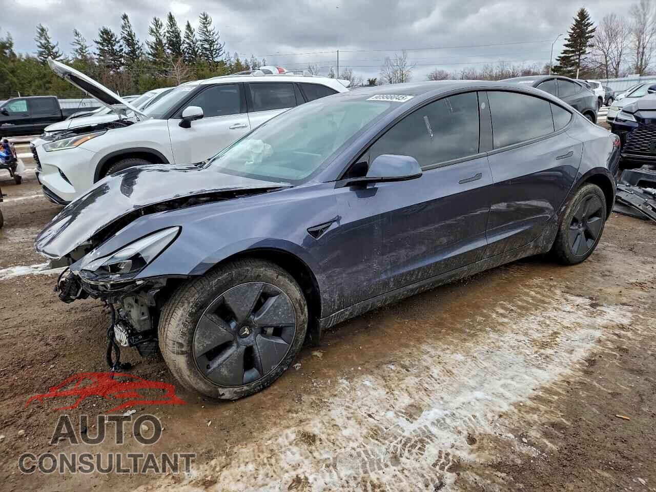 TESLA MODEL 3 2023 - LRW3E1FA6PC921164