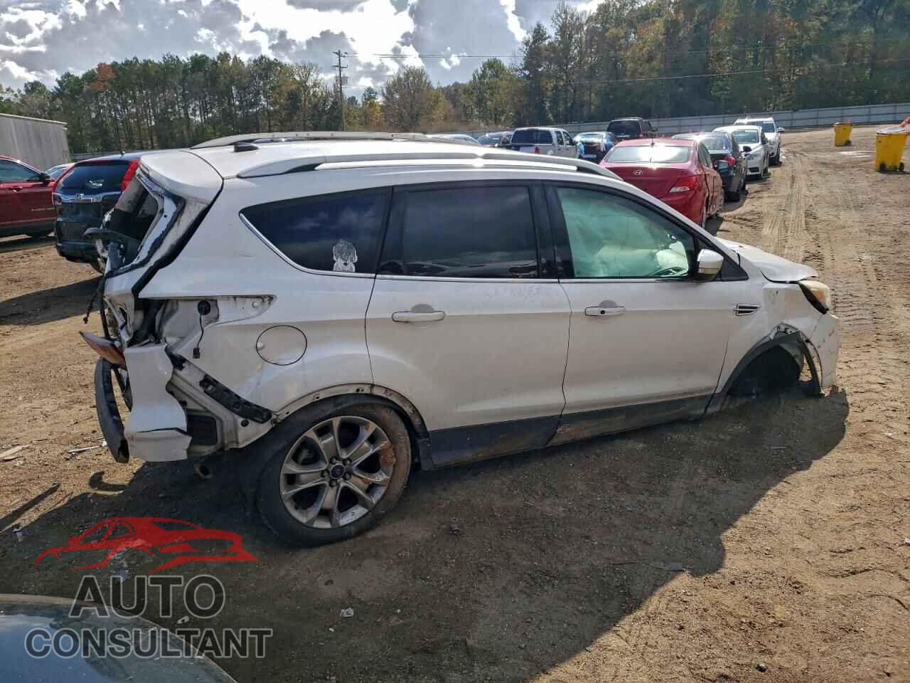 FORD ESCAPE 2014 - 1FMCU0JX1EUC49643