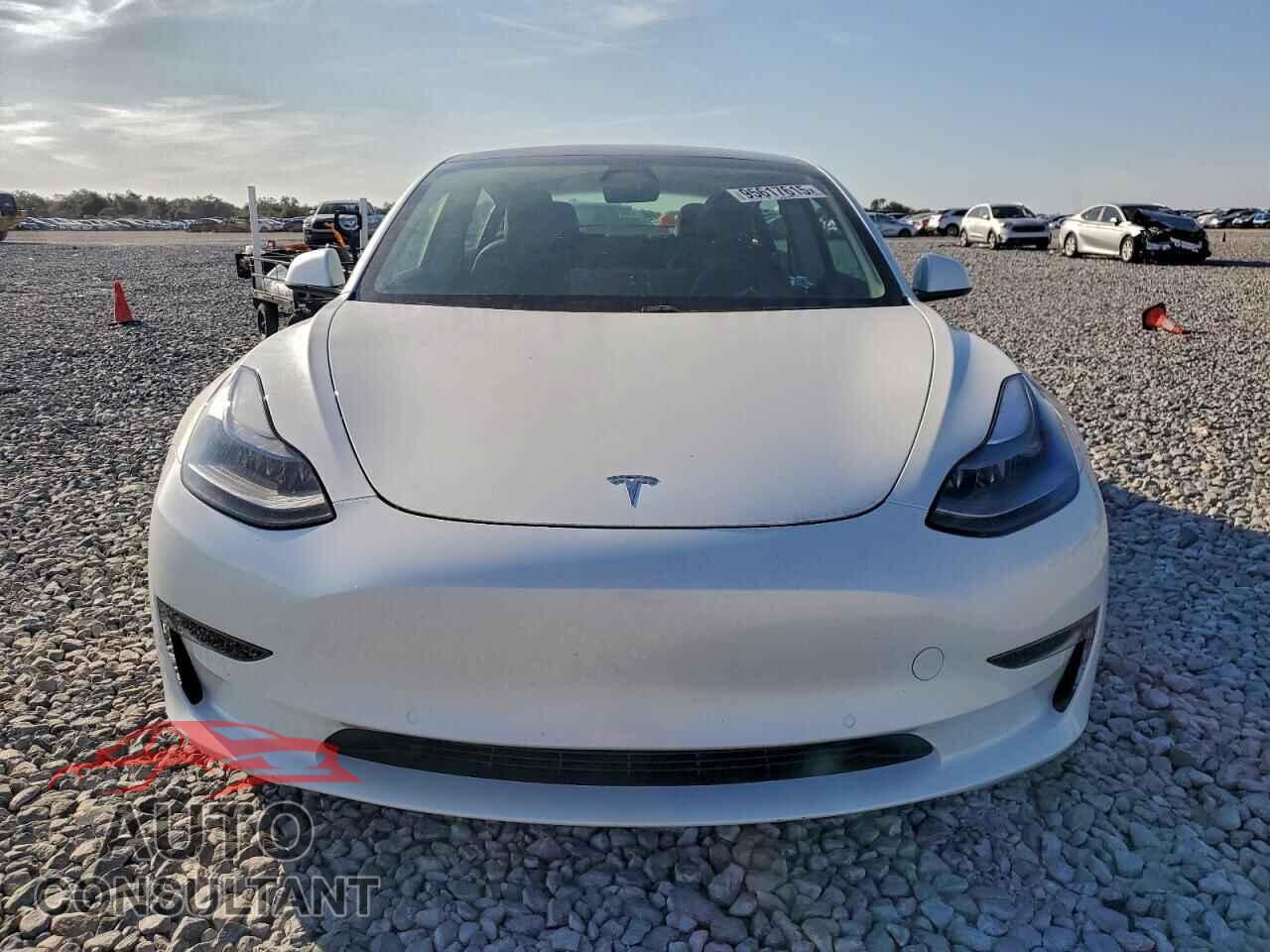 TESLA MODEL 3 2021 - 5YJ3E1EA3MF976206