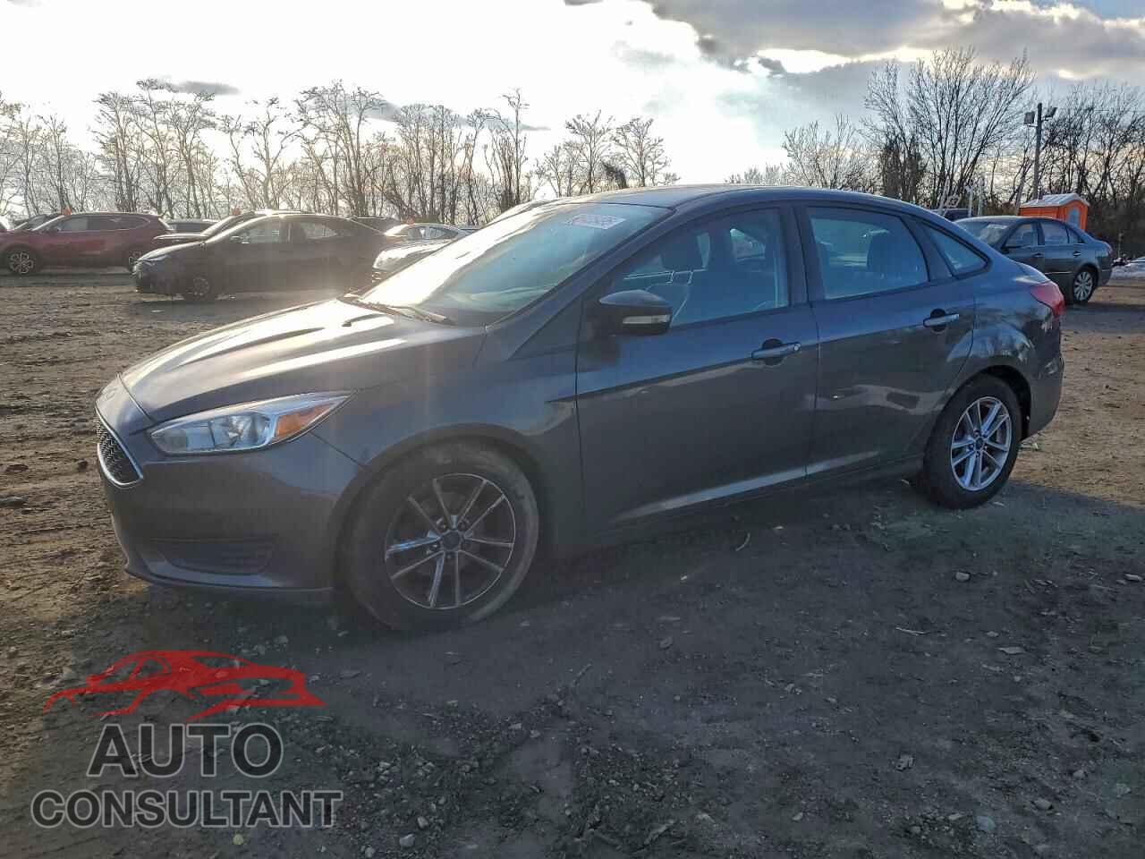 FORD FOCUS 2016 - 1FADP3F21GL226571