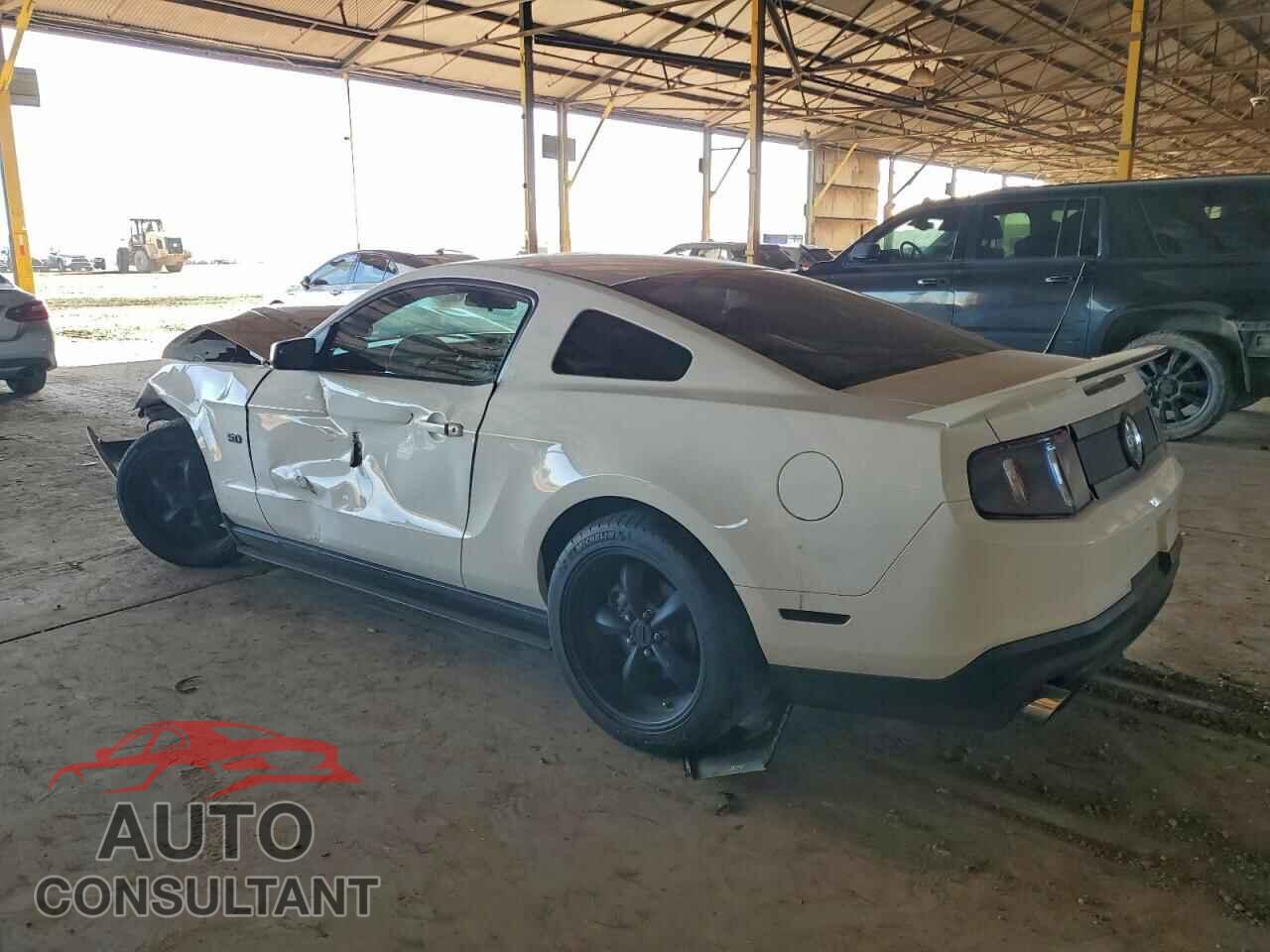 FORD MUSTANG 2011 - 1ZVBP8CF9B5155314