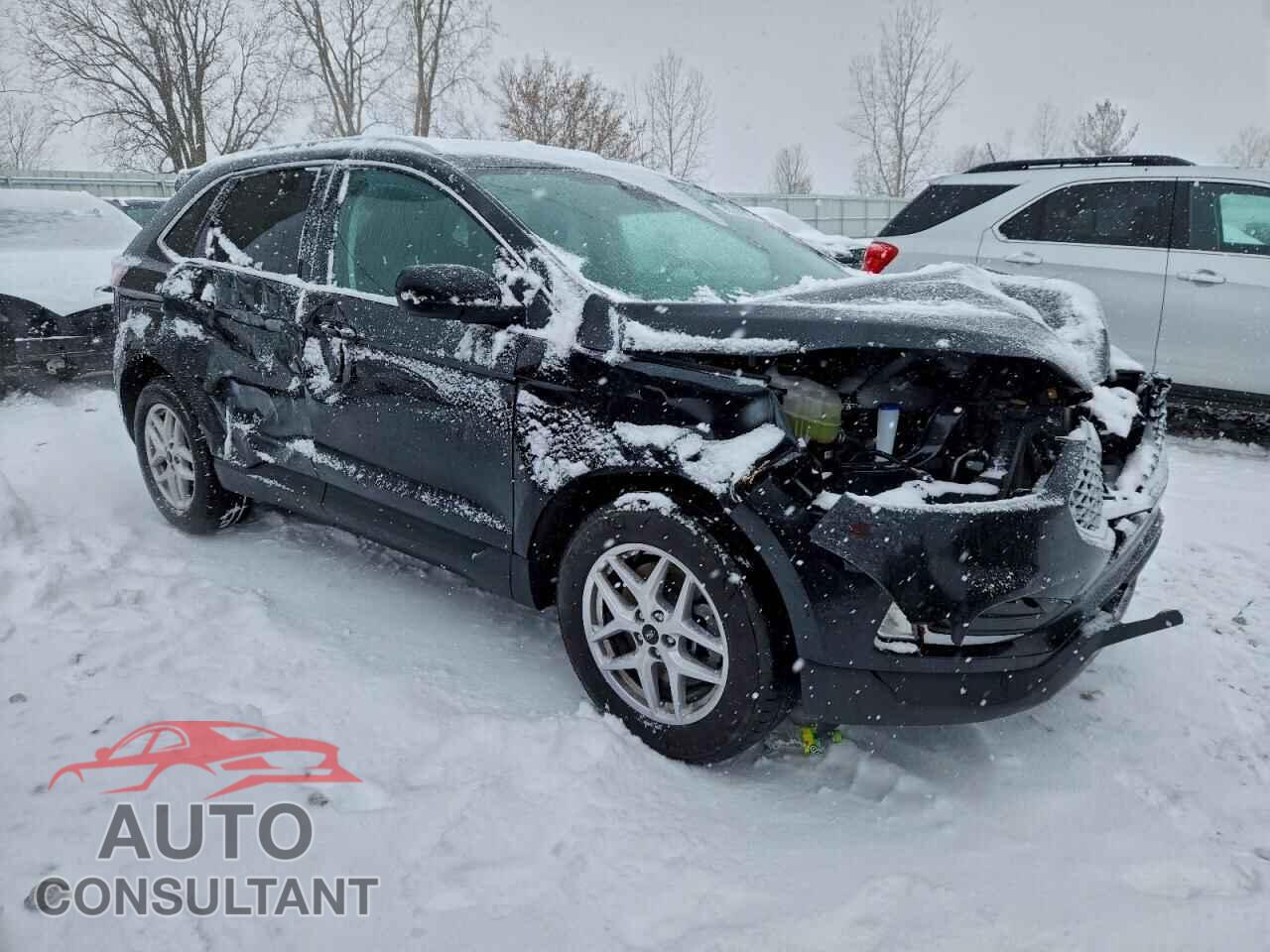 FORD EDGE 2024 - 2FMPK4J91RBA22948