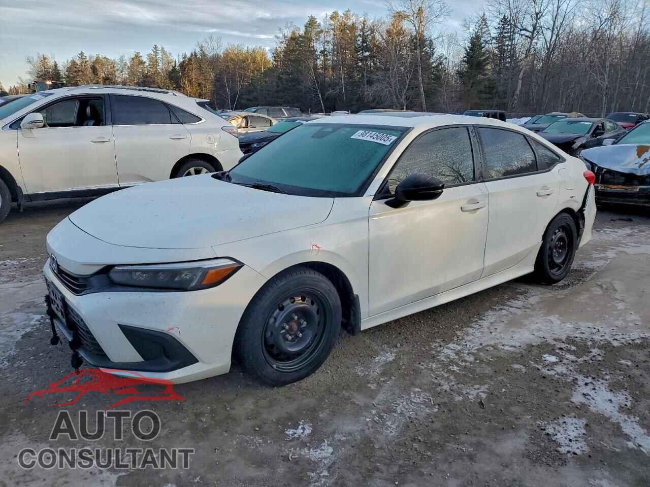 HONDA CIVIC 2023 - 2HGFE2F55PH101522
