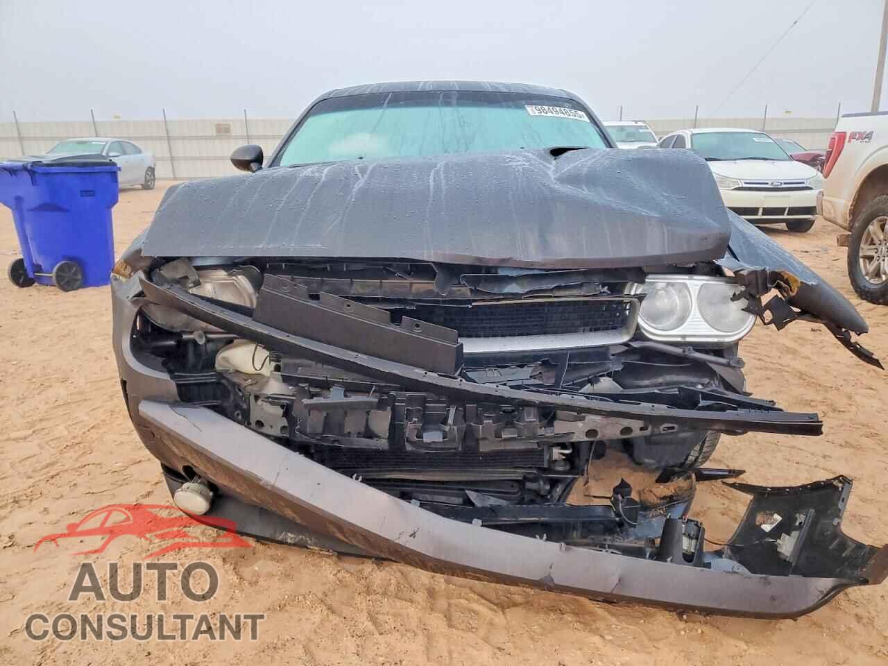 DODGE CHALLENGER 2013 - 2C3CDYAG2DH710387