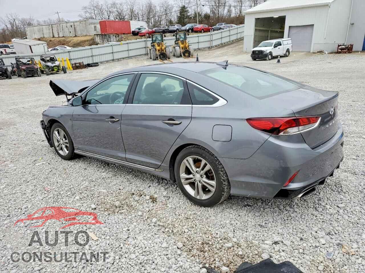 HYUNDAI SONATA 2019 - 5NPE34AF4KH818408