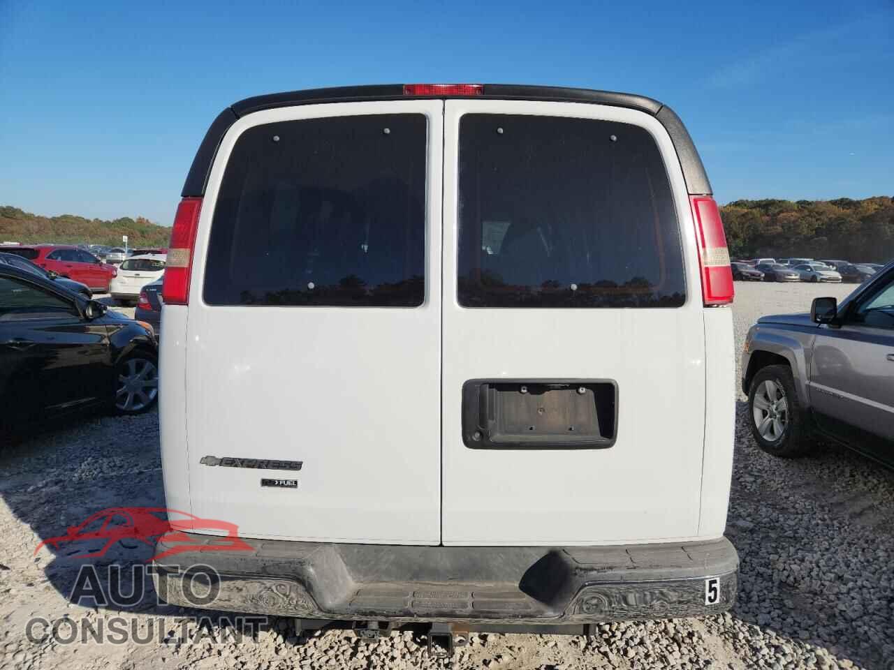 CHEVROLET EXPRESS 2010 - 1GNUGCD40A1115051