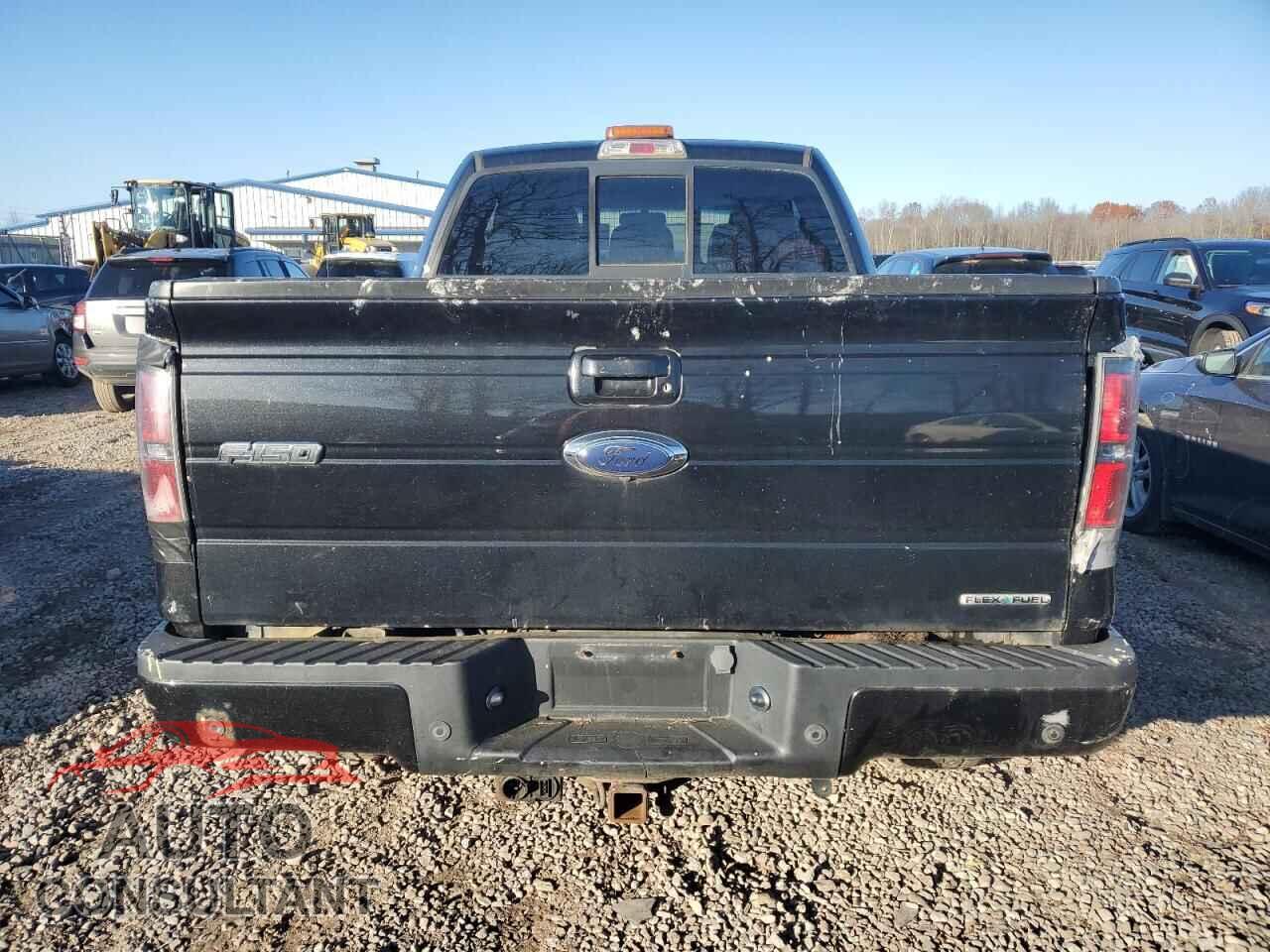 FORD F-150 2011 - 1FTFX1EF0BFA36862