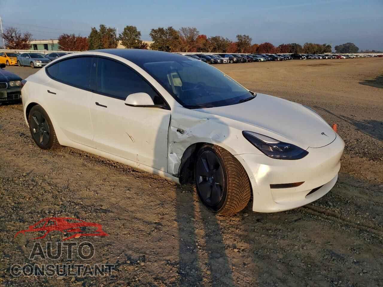 TESLA MODEL 3 2021 - 5YJ3E1EA4MF073210