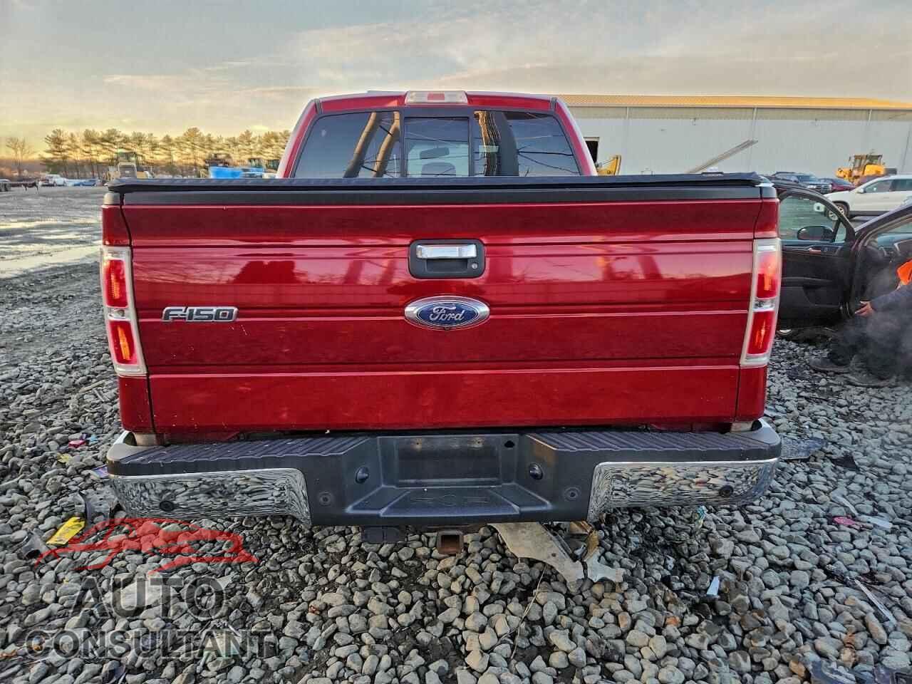 FORD F-150 2013 - 1FTFW1EF4DFD98005