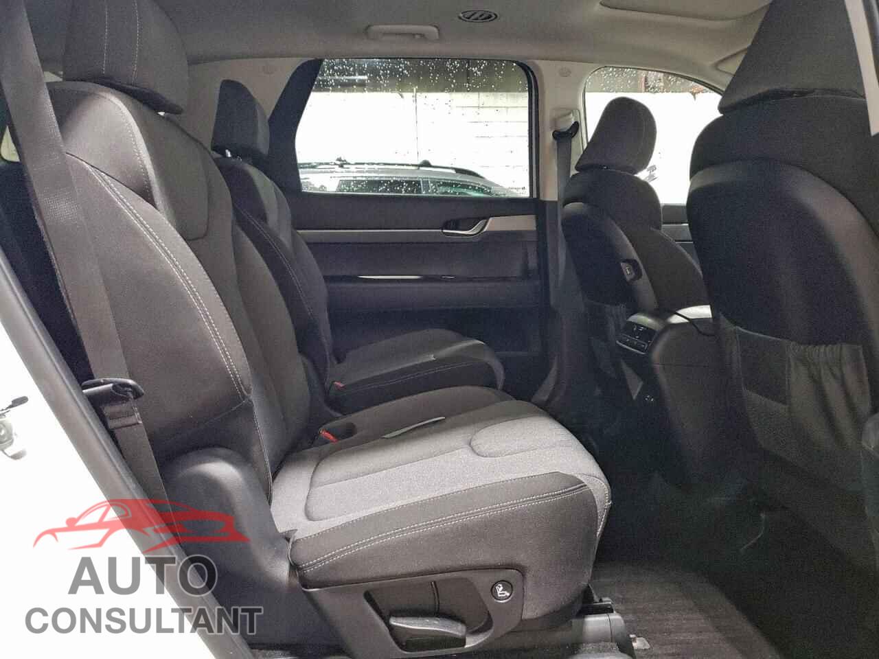 HYUNDAI PALISADE 2020 - KM8R2DHE6LU051438