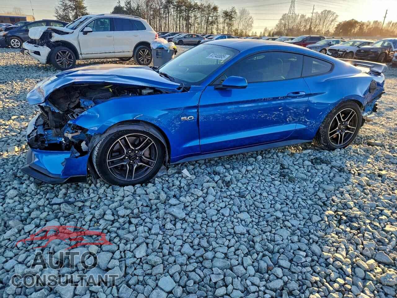 FORD MUSTANG 2019 - 1FA6P8CF1K5163563