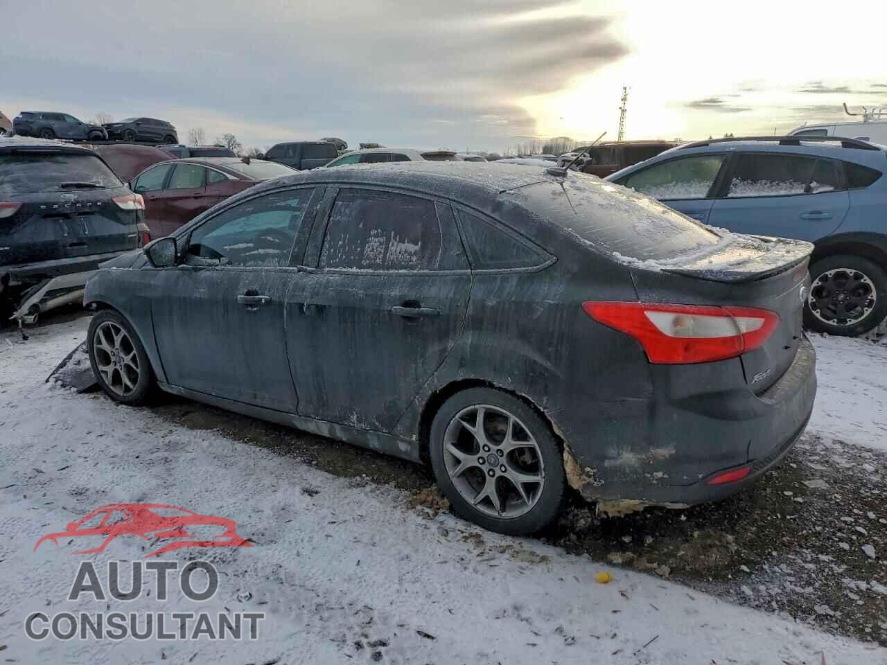 FORD FOCUS 2014 - 1FADP3F29EL220644
