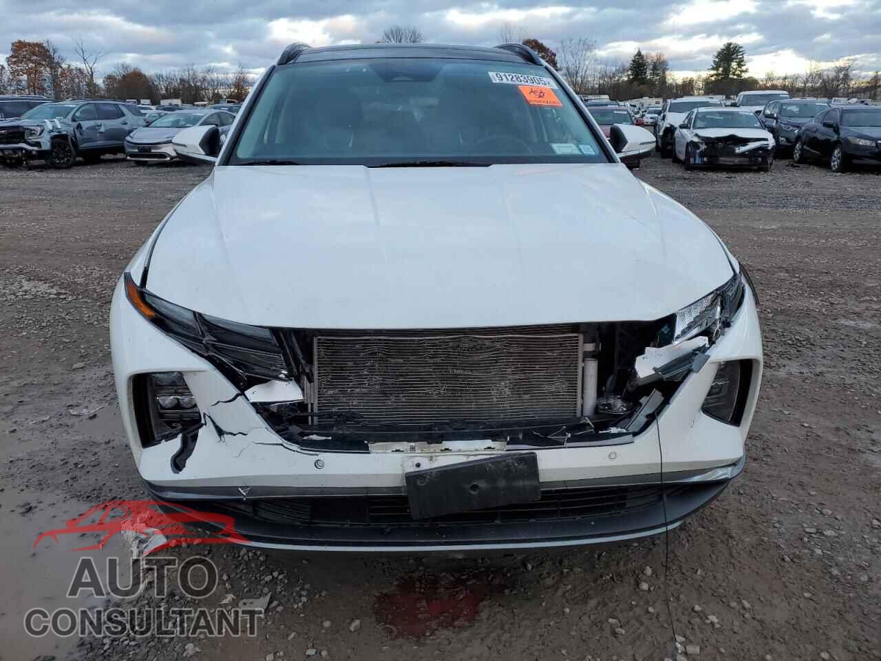 HYUNDAI TUCSON 2023 - 5NMJECAE7PH179357