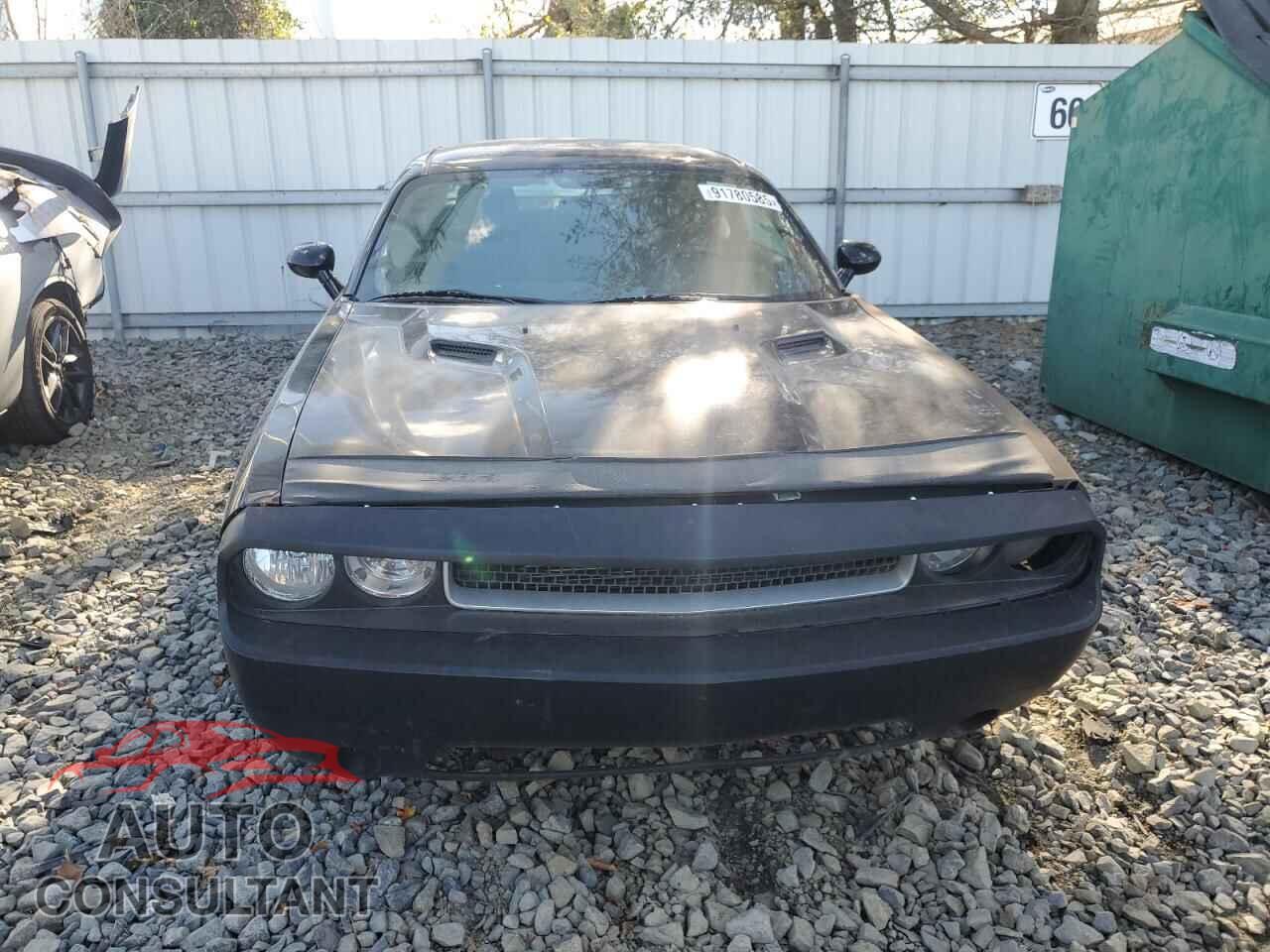 DODGE CHALLENGER 2012 - 2C3CDYAG2CH259329