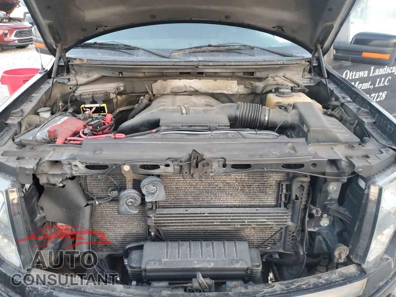 FORD F-150 2013 - 1FTFX1ET4DFB77832