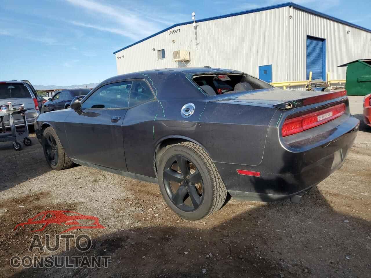 DODGE CHALLENGER 2013 - 2C3CDYAG2DH676337