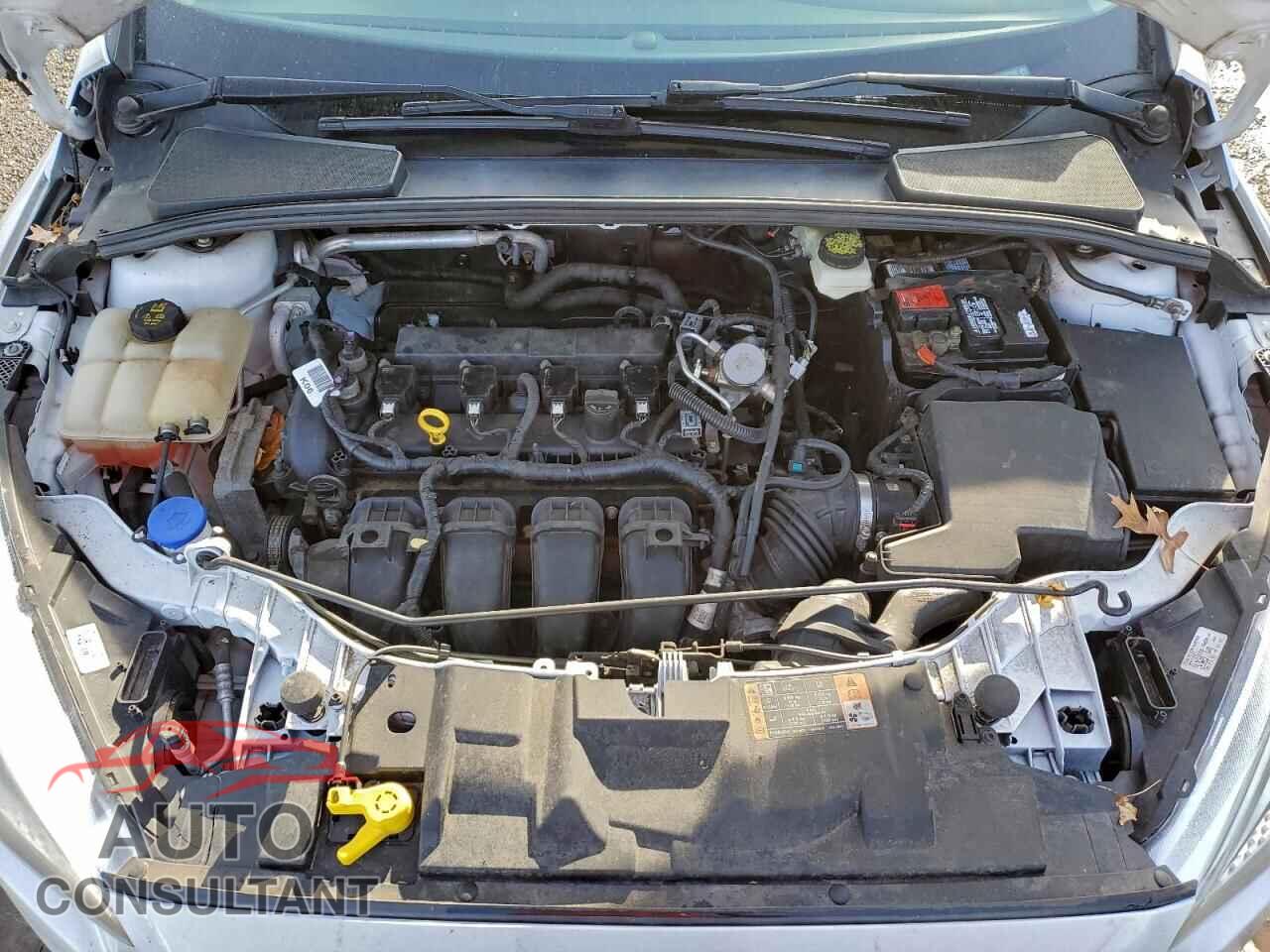 FORD FOCUS 2017 - 1FADP3F26HL237793