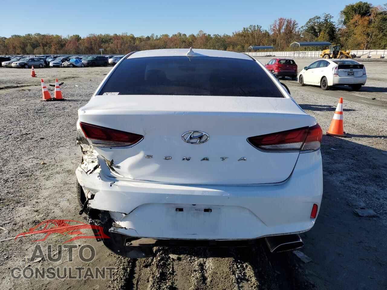 HYUNDAI SONATA 2019 - 5NPE24AF4KH736794