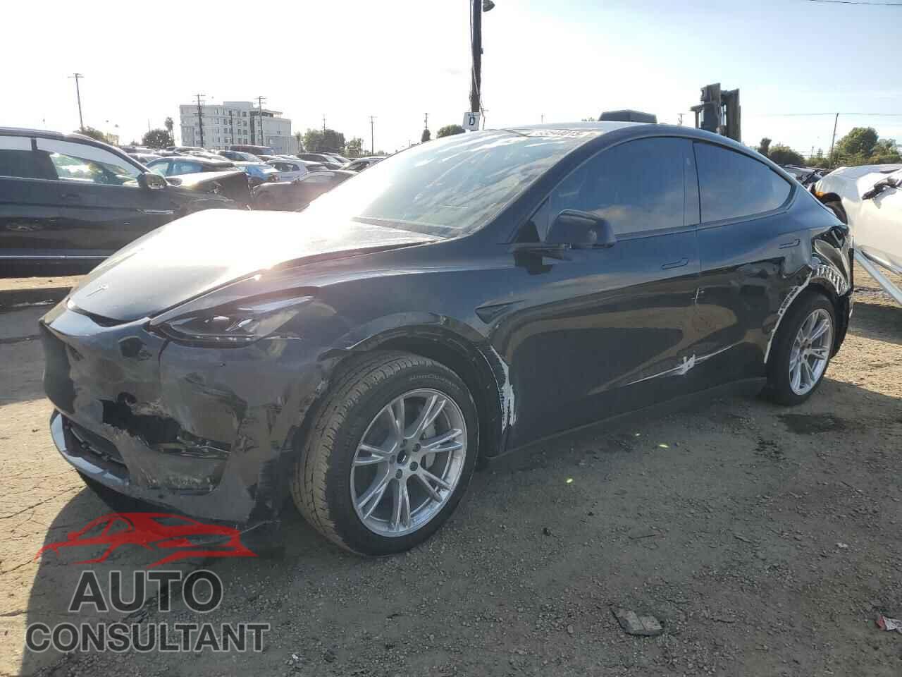 TESLA MODEL Y 2024 - 7SAYGDED2RF015540