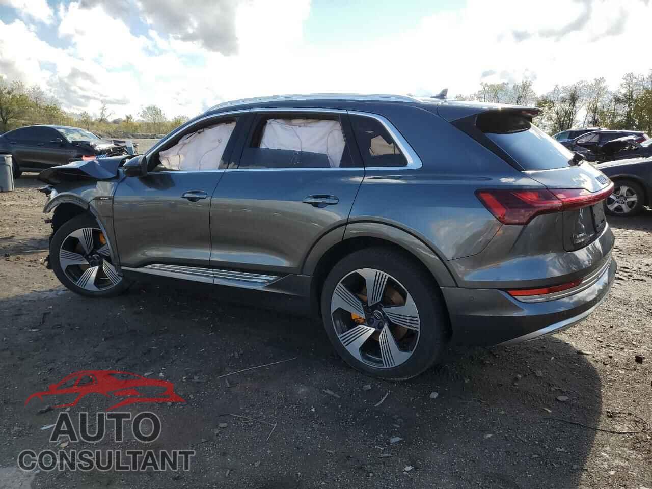 AUDI E-TRON 2019 - WA1VAAGE2KB006605