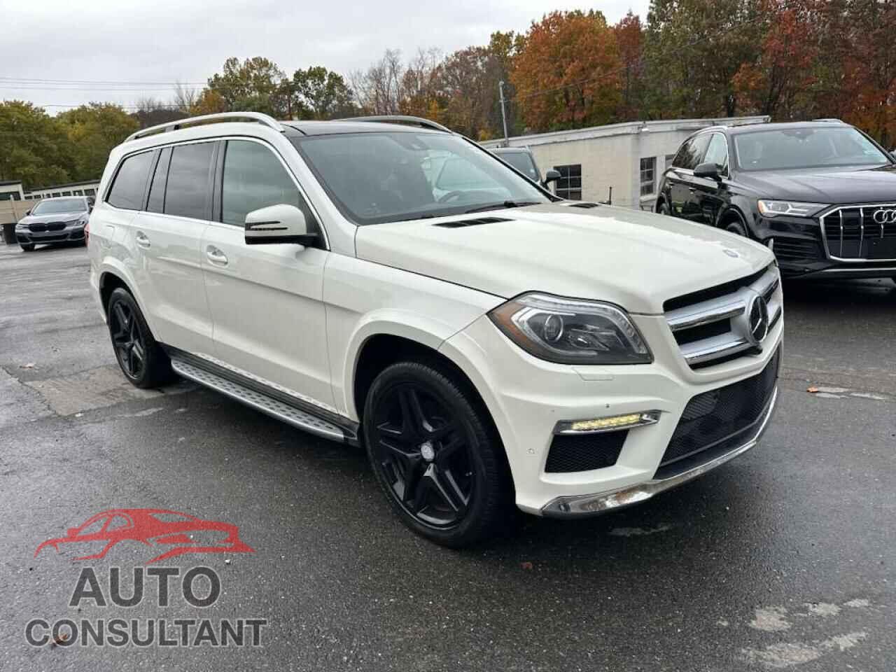 MERCEDES-BENZ GL-CLASS 2013 - 4JGDF7DEXDA213435