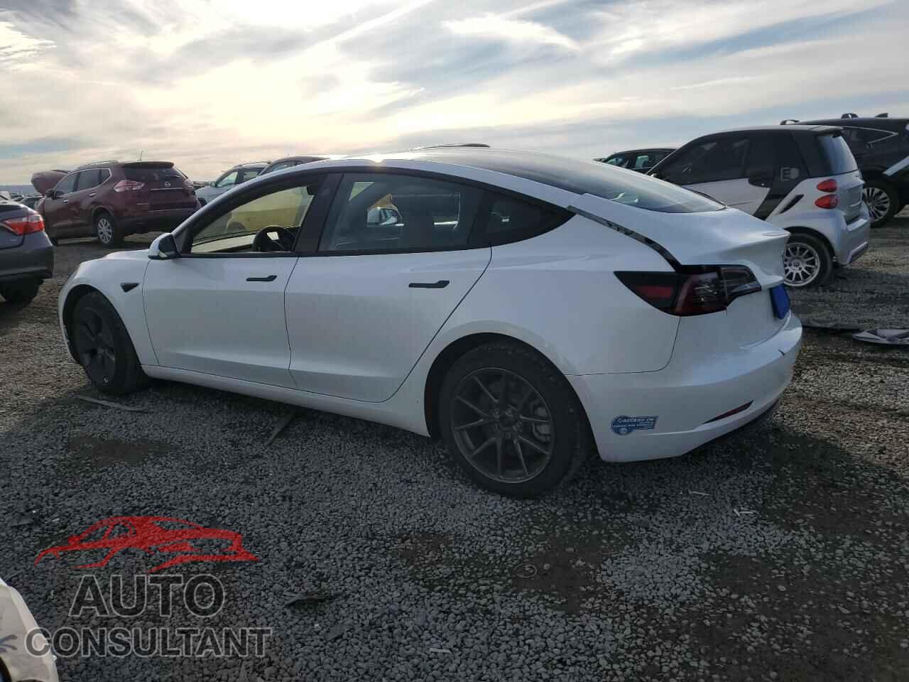 TESLA MODEL 3 2021 - 5YJ3E1EB3MF067486