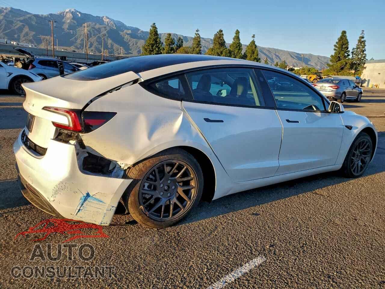 TESLA MODEL 3 2025 - 5YJ3E1EA3SF058369