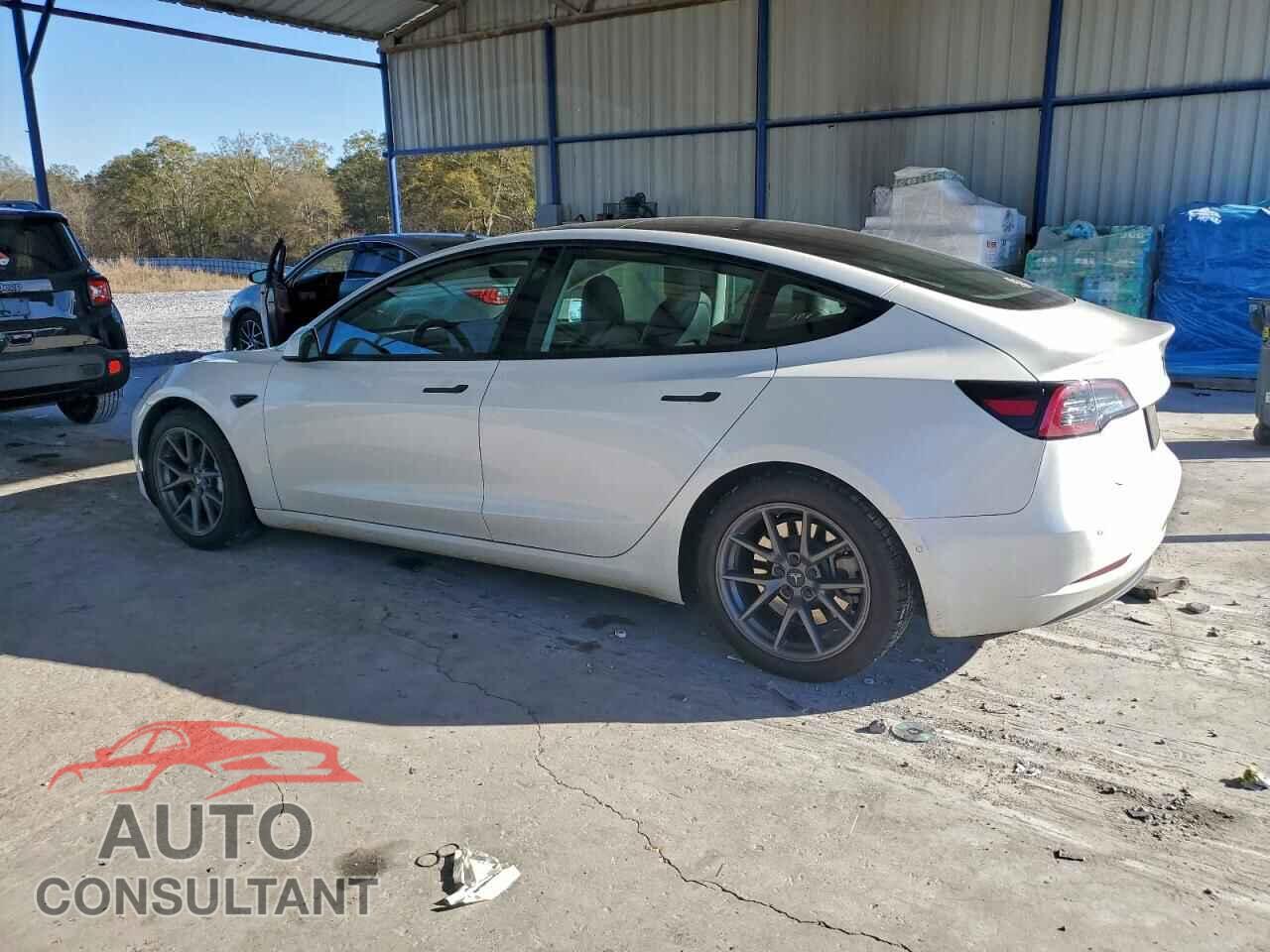 TESLA MODEL 3 2021 - 5YJ3E1EA3MF976819