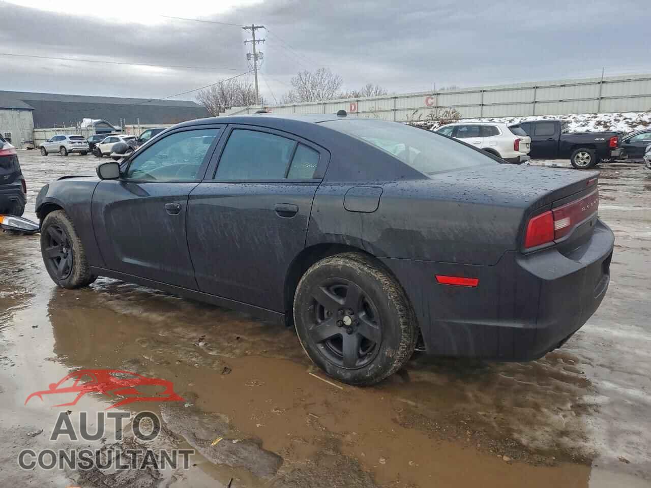 DODGE CHARGER 2014 - 2C3CDXAT2EH350918