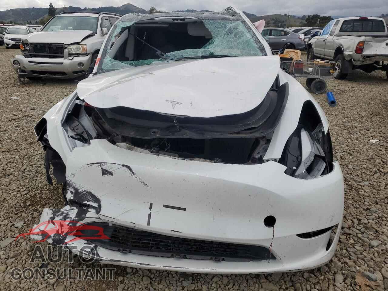 TESLA MODEL Y 2023 - 7SAYGDEE3PF920763