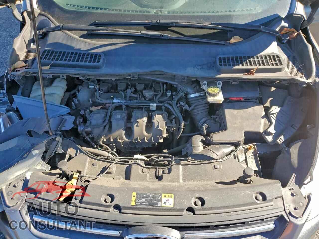 FORD ESCAPE 2014 - 1FMCU0G92EUB80468