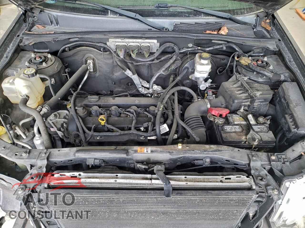 FORD ESCAPE 2010 - 1FMCU9D79AKB95403