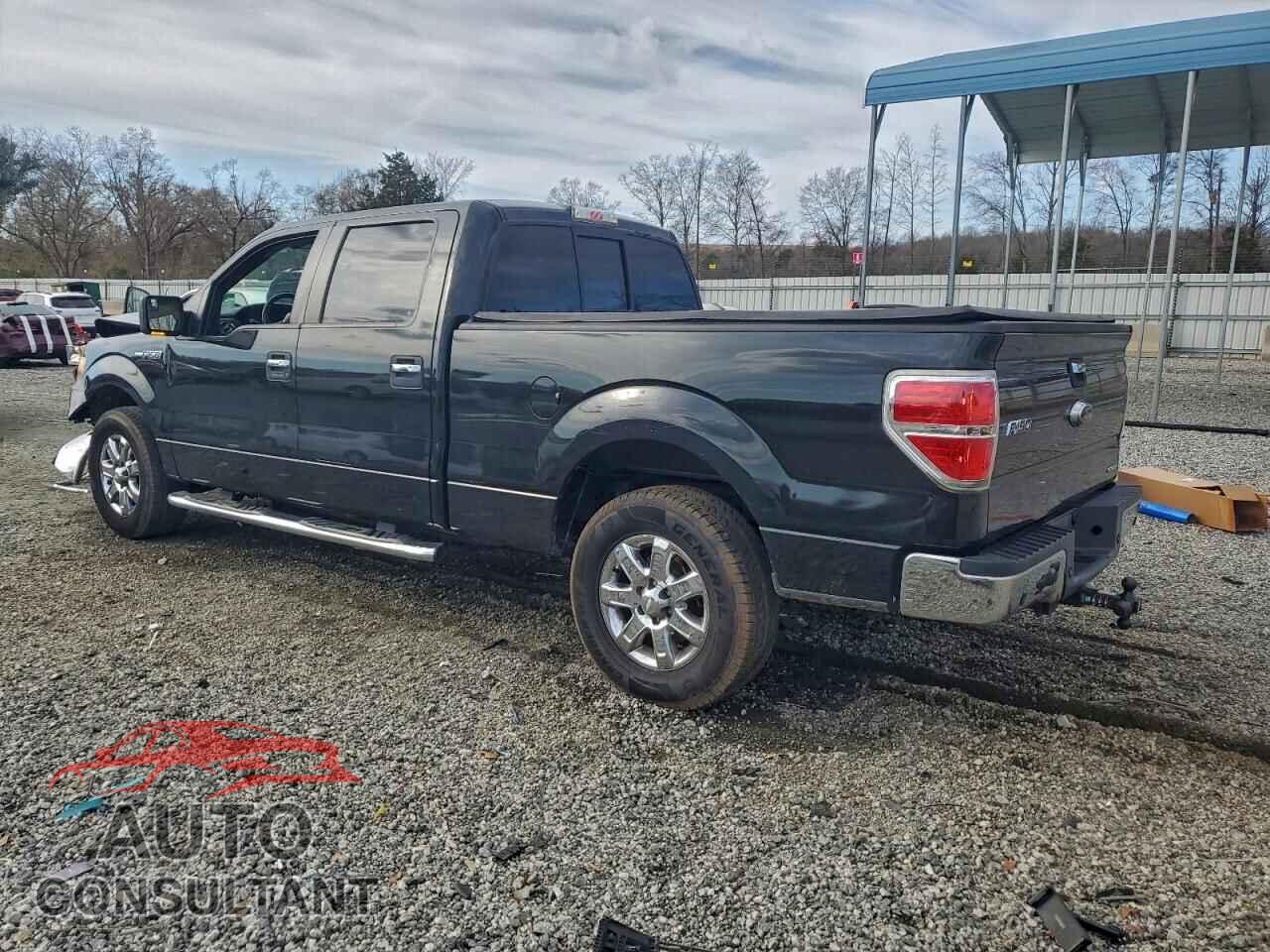 FORD F-150 2013 - 1FTFW1CF3DFA59335