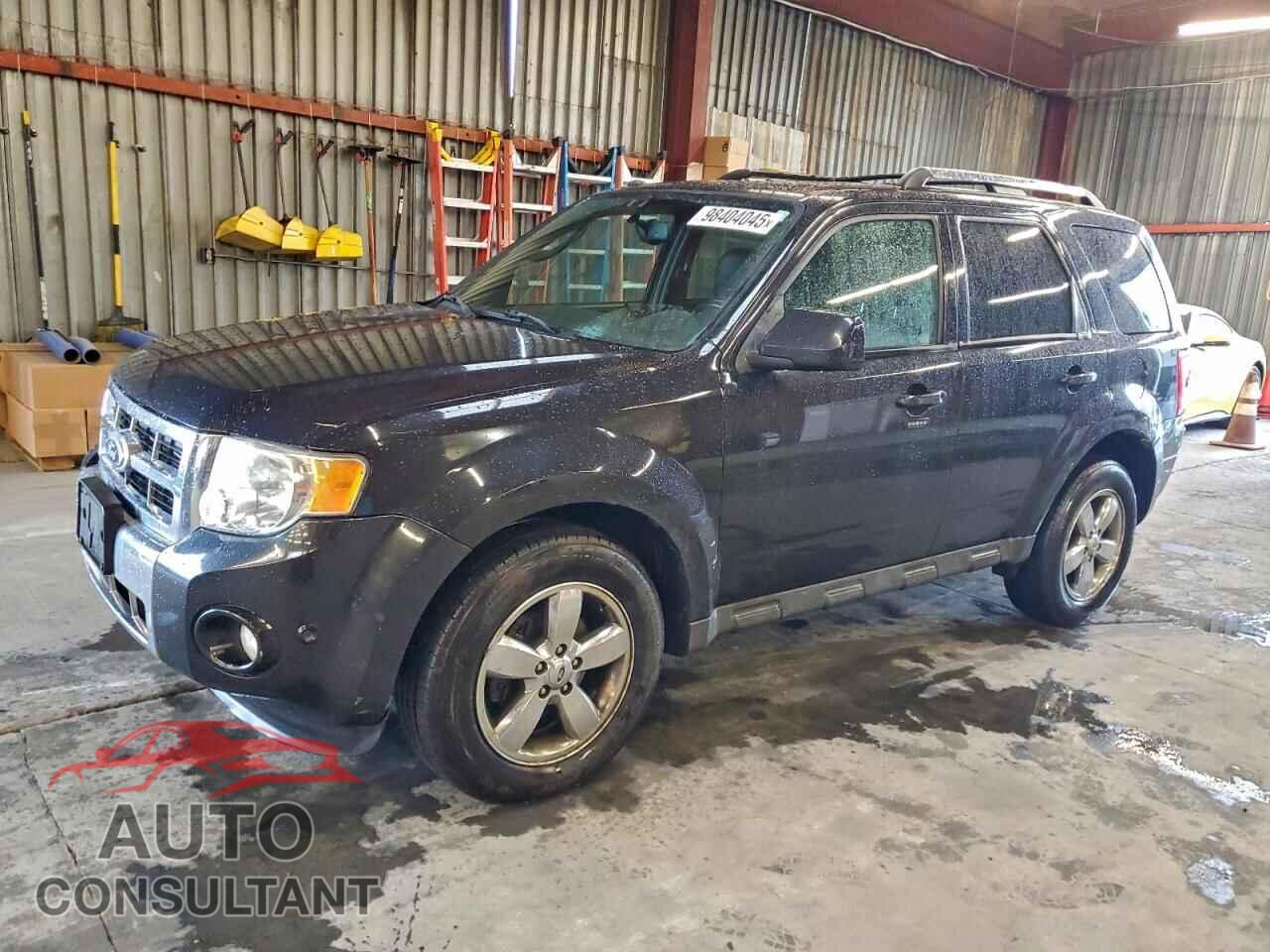 FORD ESCAPE 2011 - 1FMCU9EG4BKB69548