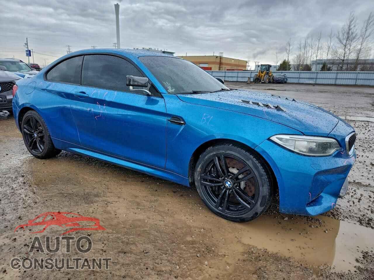 BMW M2 2017 - WBS1H9C51HV786441