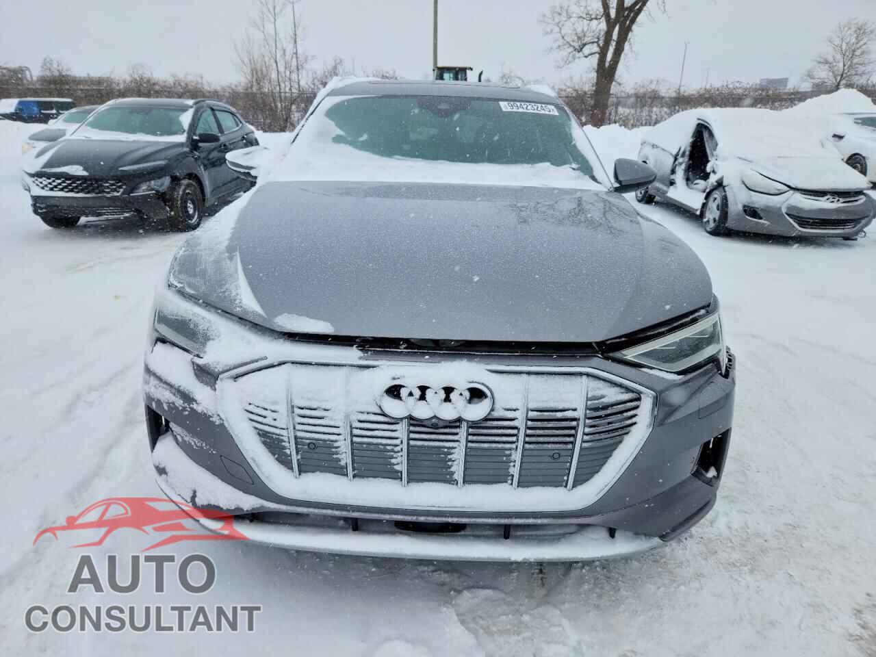 AUDI E-TRON 2019 - WA1VAAGE0KB008742